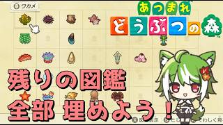 【あつ森】残りの図鑑あと少し！海の幸、美術品！(*‘ω‘ *)【狐緑とあ】#vtuber #あつ森