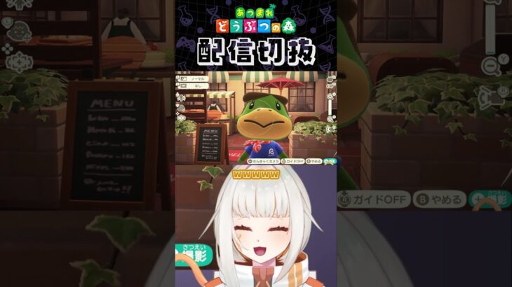 【あつ森】カメラをアップグレードしたらこんな写真が取れるように✨ #個人vtuber #配信切り抜き #切り抜き動画 #あつまれどうぶつの森