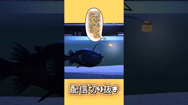 【あつ森で新種の魚見つかる】#あつ森#あつまれどうぶつの森 #vtuber
