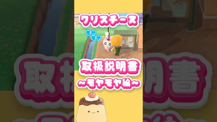 【クリスチーヌの取説】愛情は伝わってるぷ！#あつ森 #あつまれどうぶつの森 #vtuber