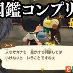 【あつ森】本当に魚図鑑を終わらせるvtuber【あつまれどうぶつの森】