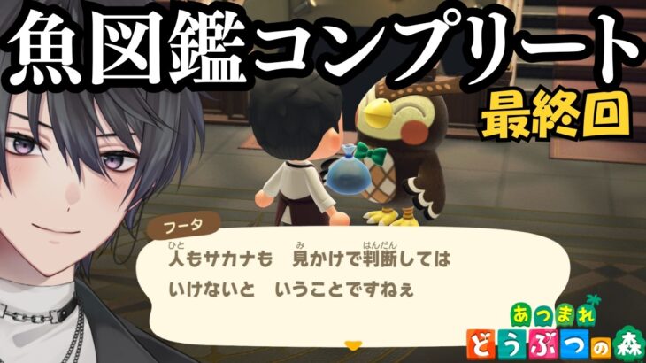 【あつ森】本当に魚図鑑を終わらせるvtuber【あつまれどうぶつの森】
