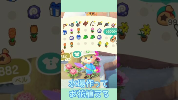 あつ森で作る、華やかなお花の博物館エリア🌸【島クリエイト】 #あつ森 #島クリエイト  #あつまれどうぶつの森 #個人勢vtuber