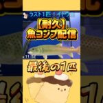 【耐久釣りコンプ】ラスボス伊藤さんとの戦いぷ！#あつ森 #あつまれどうぶつの森 #vtuber