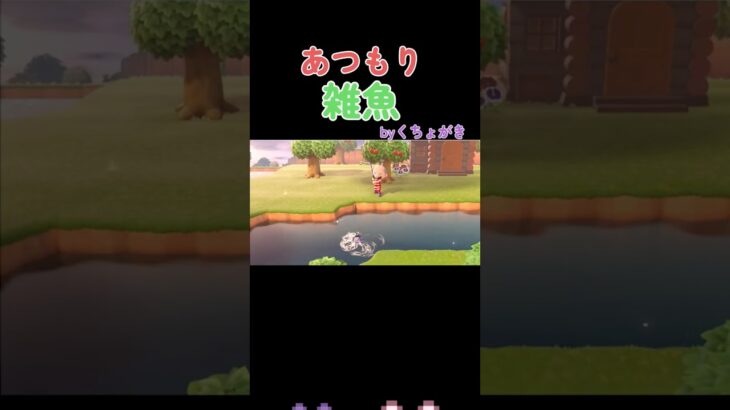 【あつ森】#あつ森 #あつまれどうぶつの森 #vtuber #新人vtuber #switch #switch2 #shorts