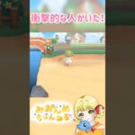 すごい人いたw #みおんぬ #short #あつ森 #あつまれどうぶつの森