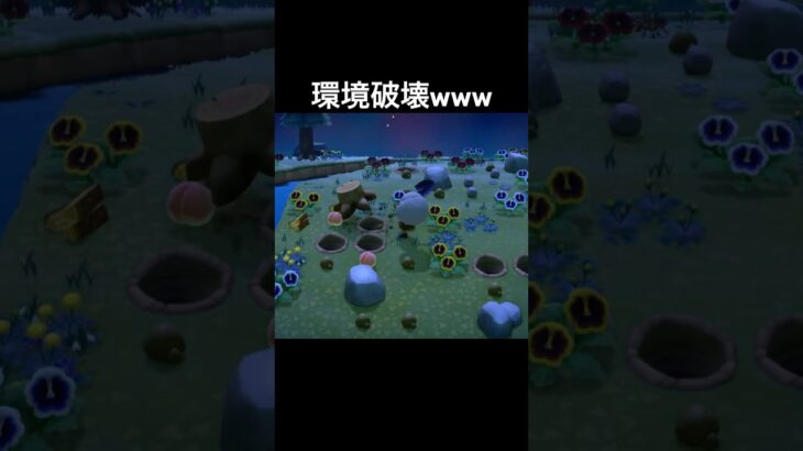 狂った人間に逃げ惑うタランチュラw#あつまれどうぶつの森 #あつ森 #ゲーム実況 #shorts