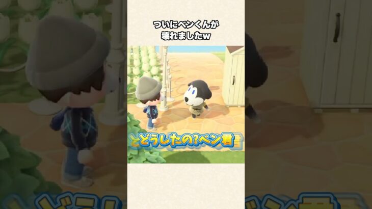 【あつ森】え！？初めて見るバグが発生しましたw【あつまれどうぶつの森】#shorts #あつ森