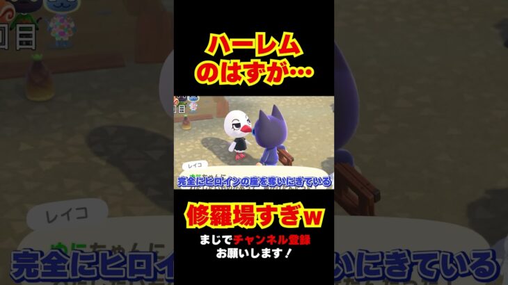 ガチ恋愛脳のあつ森が修羅場www！【 #あつまれどうぶつの森 】