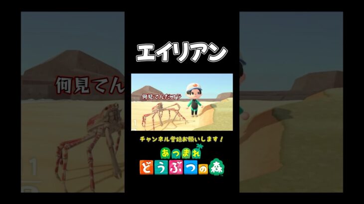 【あつ森】初心者がデカすぎるカニと遭遇した結果がヤバいwww【あつまれ どうぶつの森】#あつ森 #あつまれどうぶつの森 #shorts