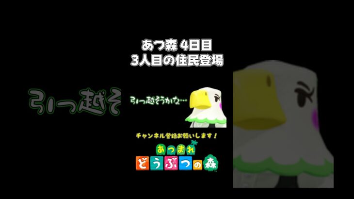 【あつ森】初心者の島に新しい住民が引っ越してきた結果www【あつまれ どうぶつの森】#あつ森 #あつまれどうぶつの森 #shorts