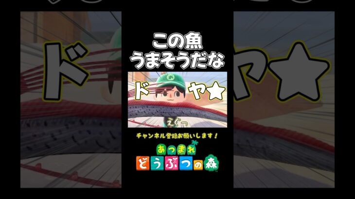 【あつ森】初心者が初めて大物を釣った結果がヤバいwww【あつまれ どうぶつの森】#あつ森 #あつまれどうぶつの森 #shorts