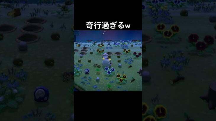 何やってんだろwww#あつまれどうぶつの森 #あつ森 #ゲーム実況 #shorts