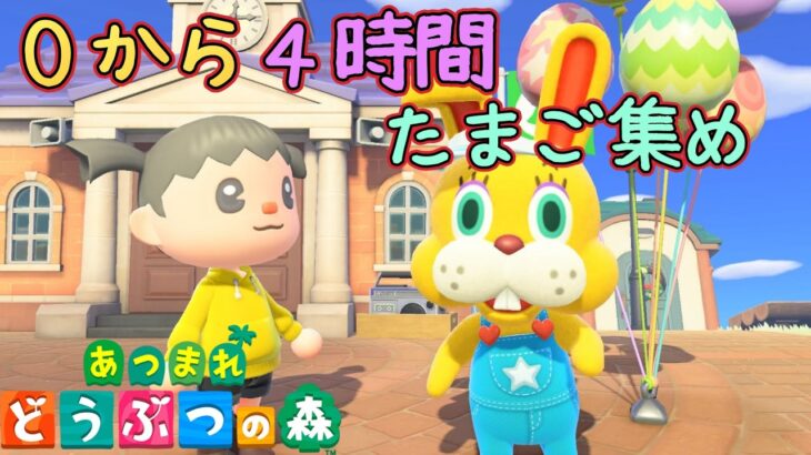 【あつまれどうぶつの森/あつ森】0から4時間頑張れば、たまごはいくつ集まるのか？【生配信】