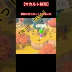 あつ森のオカルト検証。1回叩いてから揺らすと出やすいのか？ #ねっぺぺちゃんねる #ゲーム実況 #あつ森