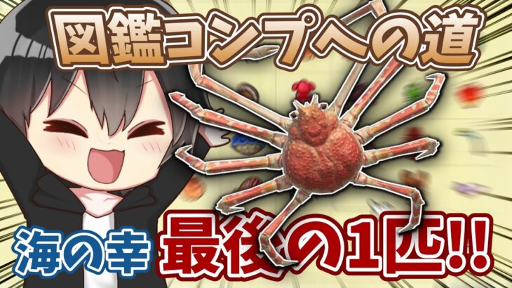 【あつ森】海の幸の図鑑コンプするぞ！ラスト1匹は高橋さんでした🦀【あつまれどうぶつの森】