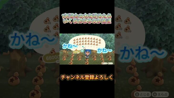 【あつ森】1年間金の木を貯めたらいくらになるのか #あつ森 #おすすめ#shorts #検証