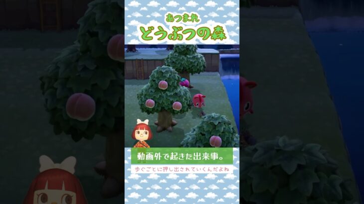 【あつ森】動画外で起きた出来事(1) タランチュラ捕獲しようとしたらアップルがいたwww #あつ森 #あつまれどうぶつの森 #アップル