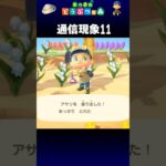 【あつ森】通信現象11