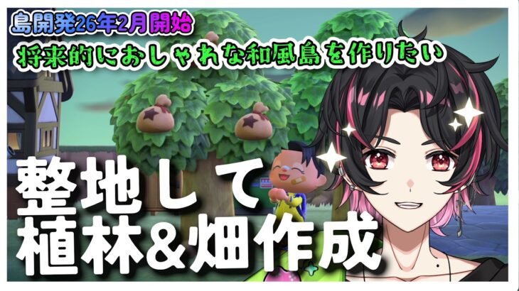 🍚【目指せ和風＆料理島 #あつ森 】どうしてもストレスだった石の位置変える!!  週1回1年間配信して島を発展させる!!  弦弓こめ / #VTuber