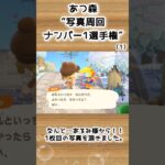 【あつ森企画】写真周回ナンバー1選手権！離島ガチャ一発確定（1）#shorts