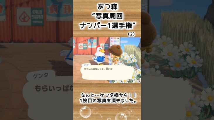 【あつ森企画】写真周回ナンバー1選手権！離島ガチャ一発確定（2）#shorts