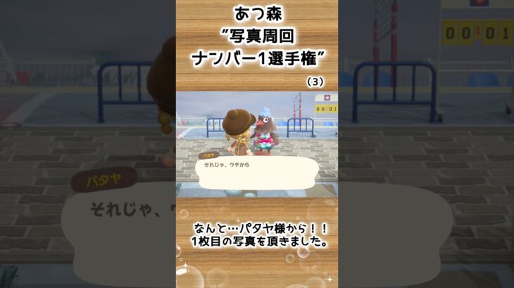 【あつ森企画】写真周回ナンバー1選手権！離島ガチャ一発確定（3）#shorts