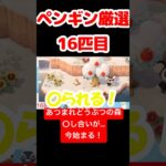 【あつ森】ペンギン厳選16匹目 #vtuber  #ゲーム実況