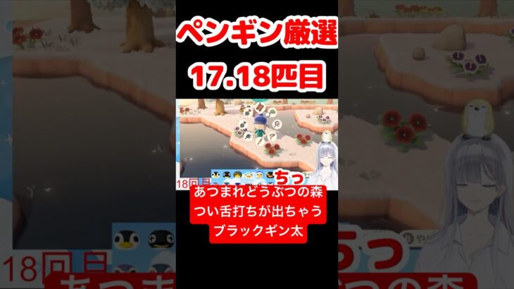 【あつ森】ペンギン厳選17.18匹目 #vtuber  #ゲーム実況