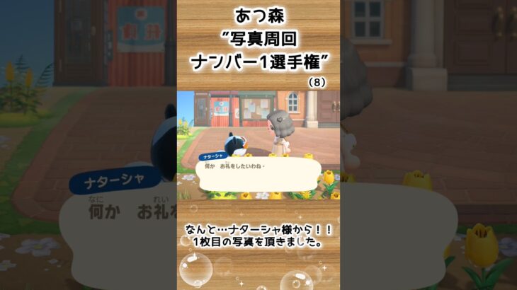 【あつ森企画】写真周回ナンバー1選手権！離島ガチャ一発確定（8）#shorts