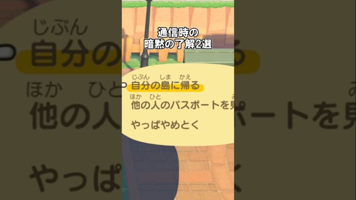 通信プレイ時のルール（暗黙の了解）2選 【あつ森】@ほのげ
