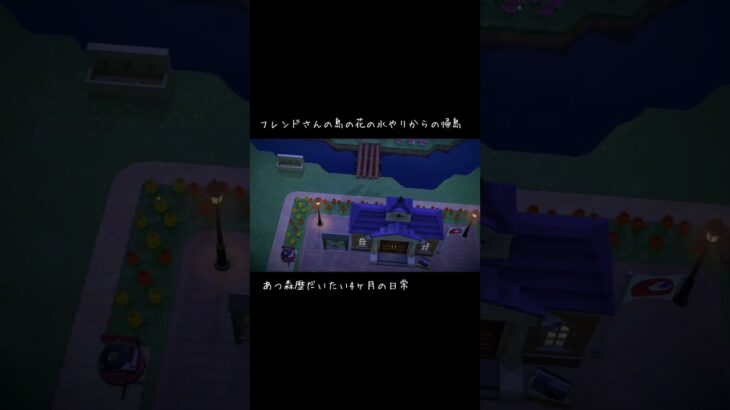 第2回この状況から獲れるタランチュラ #あつ森