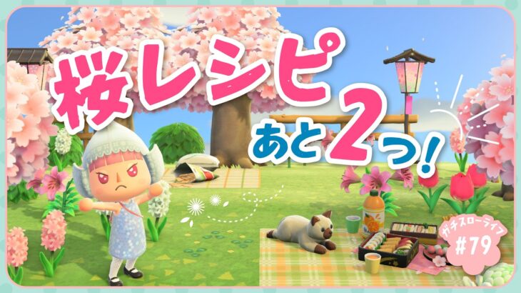 【あつ森】　桜レシピラストスパート！！残り2つのレシピを集めたい【よりどり島】