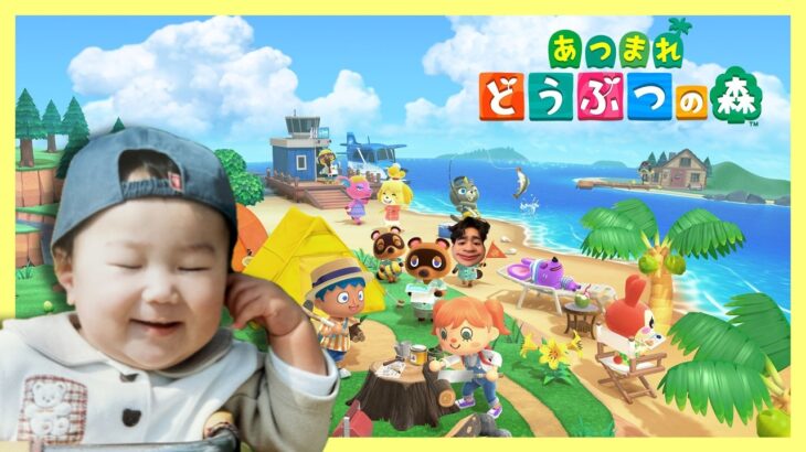 【あつ森】博物館できてました(？)【ライブ配信】#2