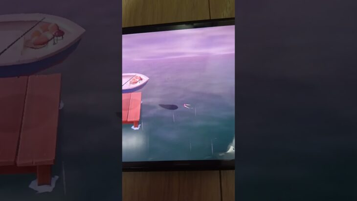 あつ森で2番目にレアな魚カジキを釣り上げた