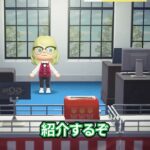 運命の2人 #あつ森 #animalcrossing #あつまれどうぶつの森