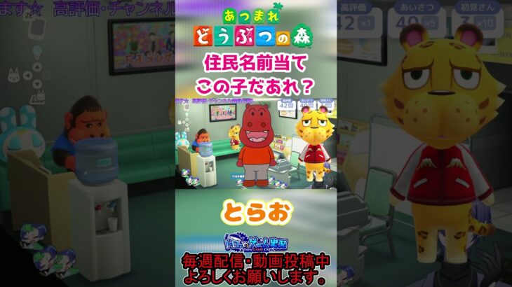 【#あつ森 】あつ森住民クイズ！この子は誰？2 #あつまれどうぶつの森 #shorts