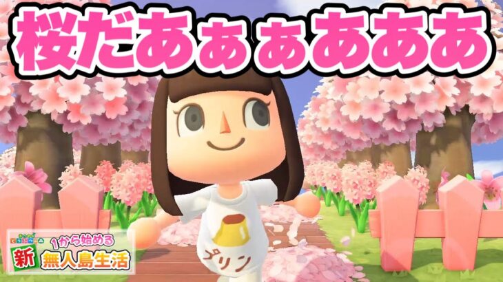 【あつ森】今年も桜が咲きました2026【あつ森/あつまれどうぶつの森】#97