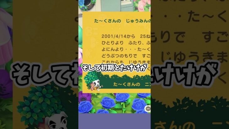 あつ森25周年記念アプデ！？！？ #あつ森  #あつまれどうぶつの森  #女性ゲーム実況