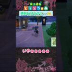 【あつ森】昨日でどう森が25周年！そんな日にタランチュラに追いかけられるなんて…🫠