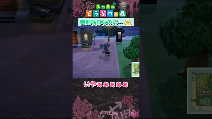 【あつ森】昨日でどう森が25周年！そんな日にタランチュラに追いかけられるなんて…🫠