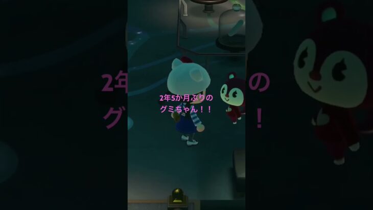 【あつ森】 2年5か月ぶりの再会。博物館でグミちゃんを見つけた！