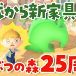 【あつ森】25周年！突然のアプデで公式から新家具が来た！ Ver.3.0.2【あつまれどうぶつの森】