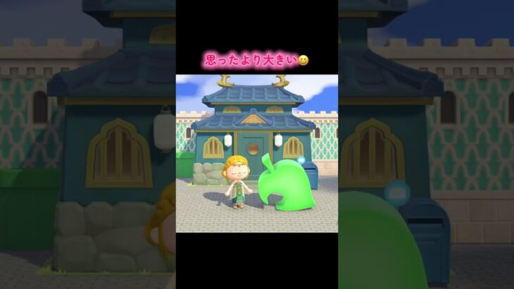 ㊗️25周年🎉#あつまれどうぶつの森 #あつ森 #ゲーム #ゲーム実況 #switch #switch2 #チャンネル登録と高評価お願いします