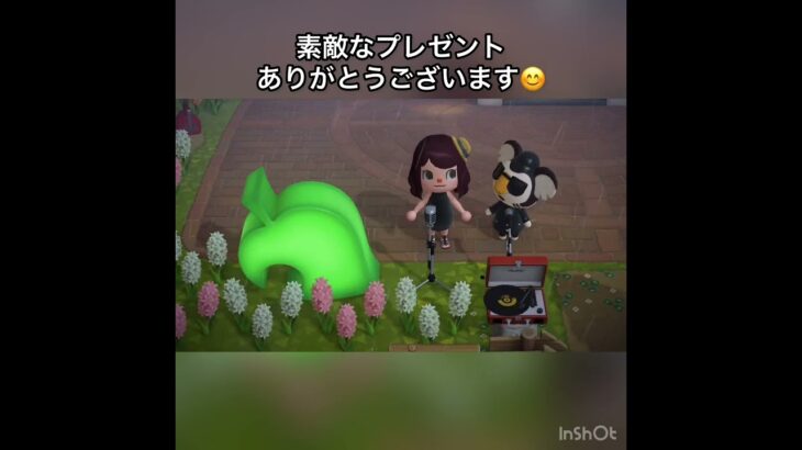 【あつ森】25周年おめでとう‼️ #vlog #あつ森 #あつまれどうぶつの森 #こはくちゃんねる2424   #毎日更新　毎日更新中　 金を稼ぐ