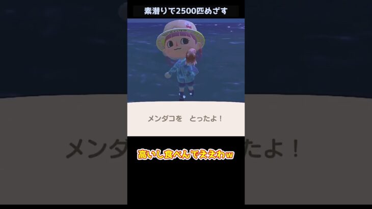 【あつ森】≪素潜り2500匹≫　素潜りが一番大変だった