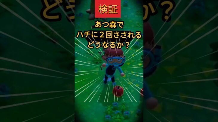 【検証】あつ森でハチに2回刺されるとどうなる？絶望の結末からロブロックスの王へ転生ｗｗ#switch版 #shorts