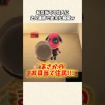 【あつ森】奇跡！探してた住民2人に出会えた瞬間w【あつまれどうぶつの森】#shorts #あつ森