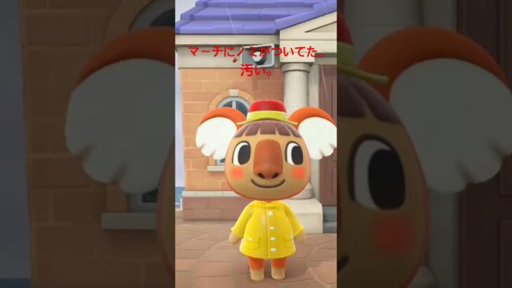 【あつ森】2日連続でノミがついてたマーチさんwww #shorts #あつ森