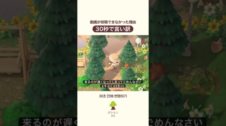 30秒で言い訳します #あつ森 #韓国人 #日本語勉強 #島クリ #島づくり #農場 #任天堂
